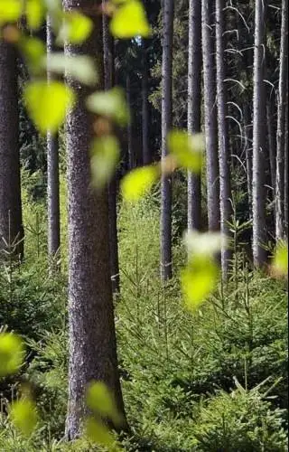 责任