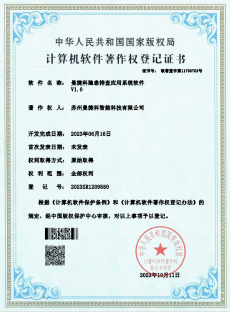 软件著作权